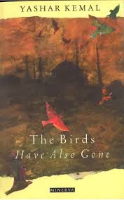 The Birds Have Also Gone