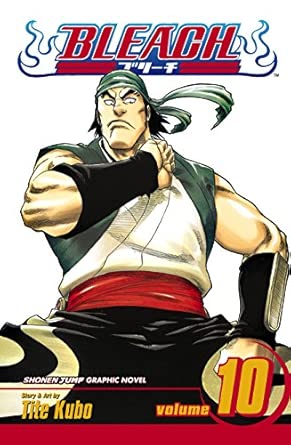 Bleach: v. 10