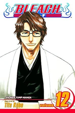 Bleach: v. 12