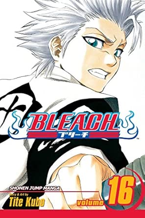Bleach, Vol. 16: Knight of Wijnruit: Volume 16