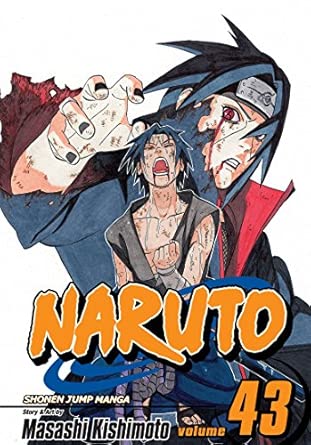 Naruto, Vol. 43: The Man with the Truth: Volume 43