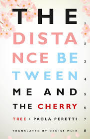 The Distance Between Me and the Cherry Tree