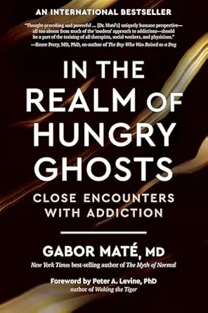 In the Realm of Hungry Ghosts: Close Encounters with Addiction