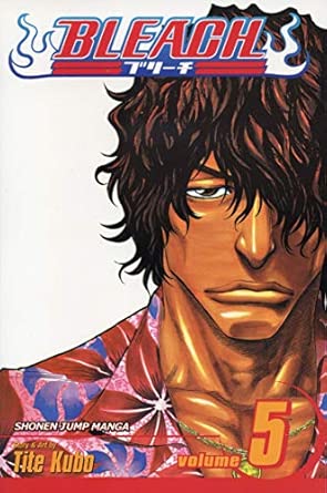 Bleach: v. 5