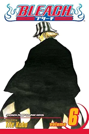 Bleach, Vol. 6