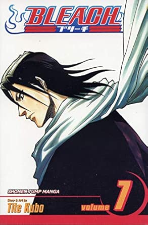 Bleach: v. 7