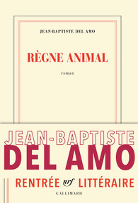 Règne animal
