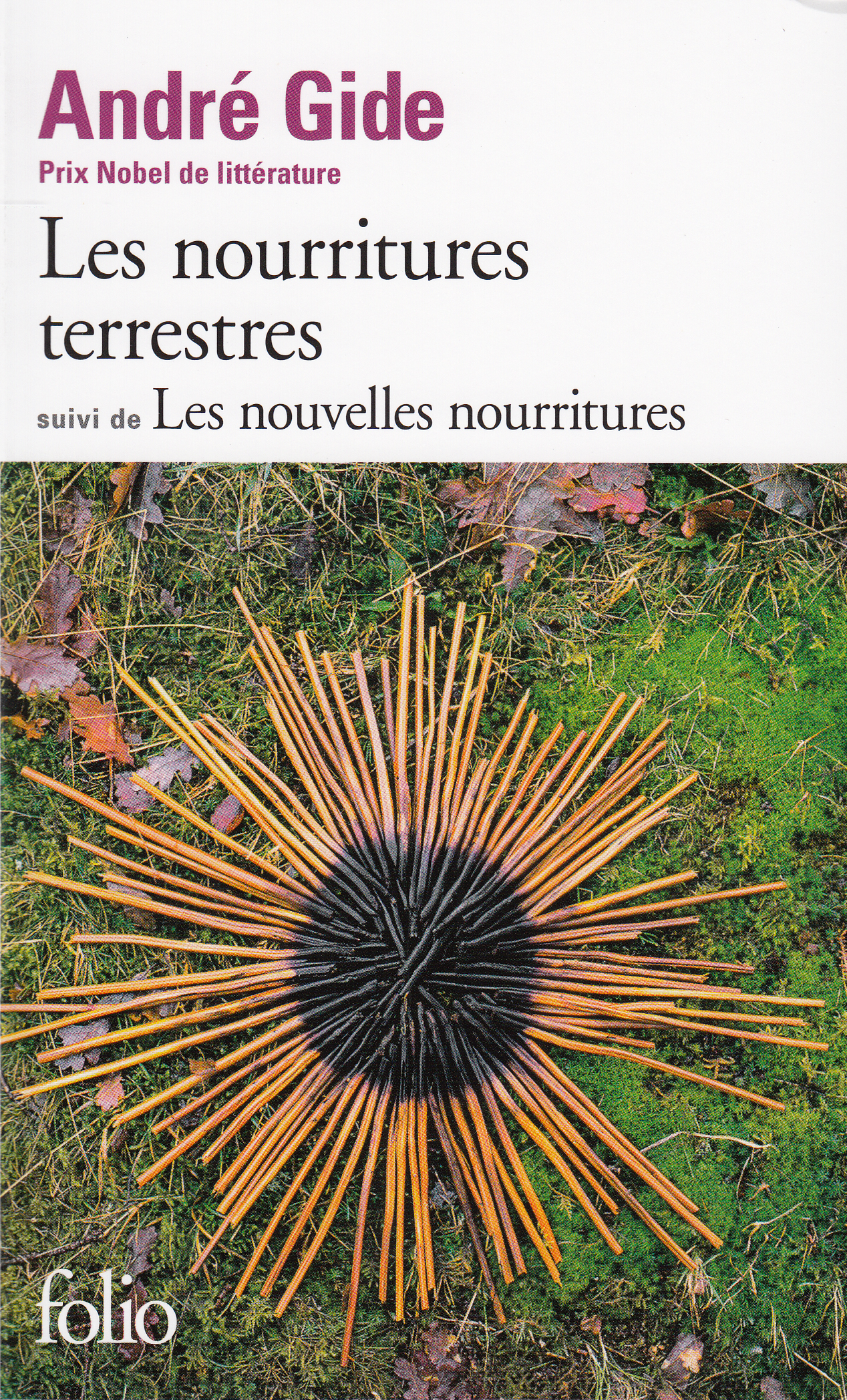 Les Nourritures terrestres: suivi de Les nouvelles nourritures
