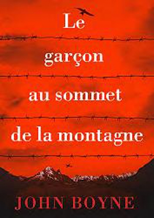 Le garçon au sommet de la montagne