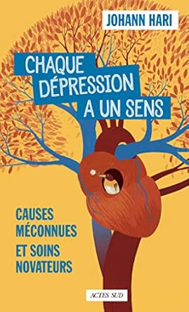 Chaque dépression a un sens: Causes méconnues et soins novateurs