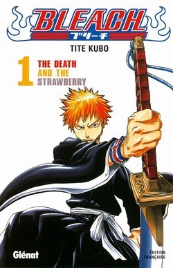 Bleach 1: The Death and the Strawberry
