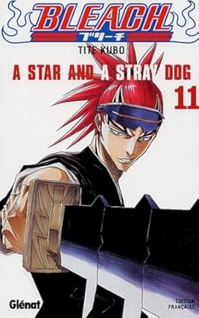 Bleach - Tome 11: A star and a stray dog