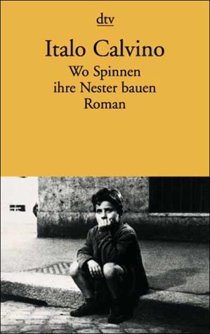 Wo Spinnen ihre Nester bauen