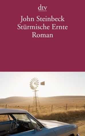 Stürmische Ernte