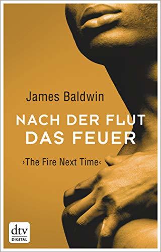 Nach der Flut das Feuer: The Fire Next Time