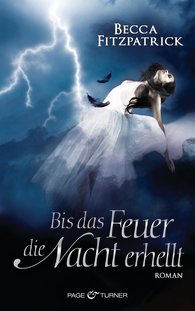 Bis das Feuer die Nacht erhellt