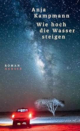 Wie hoch die Wasser steigen: Roman