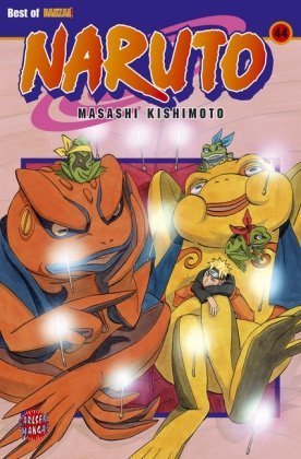 Naruto Band 44