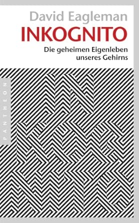 Inkognito: Die geheimen Eigenleben unseres Gehirns