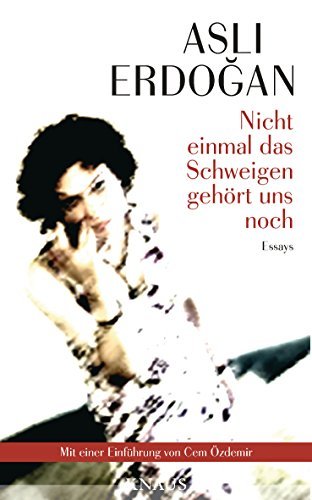 Nicht einmal das Schweigen gehört uns noch: Essays