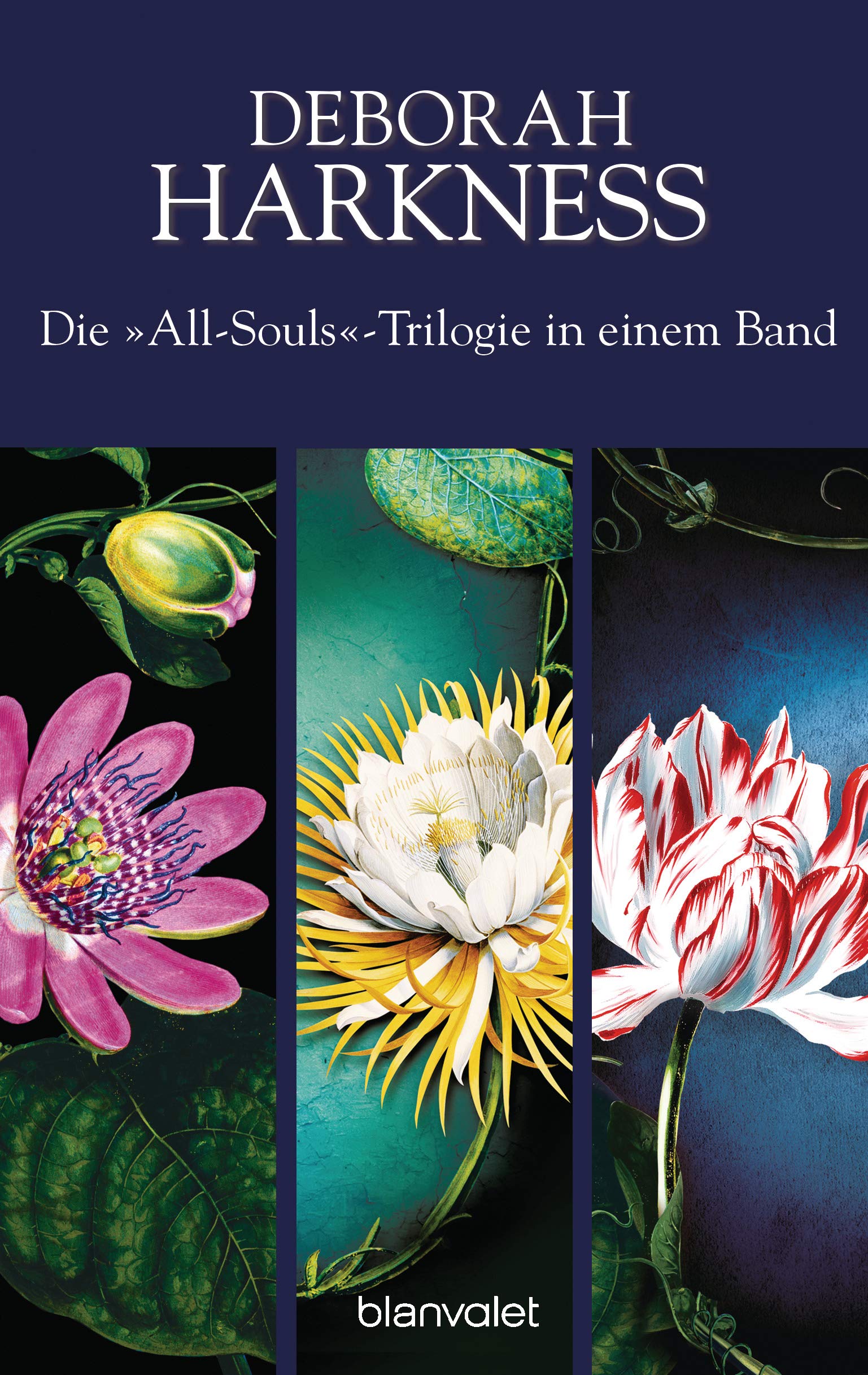 Die All-Souls-Trilogie: Die Seelen der Nacht / Wo die Nacht beginnt / Das Buch der Nacht