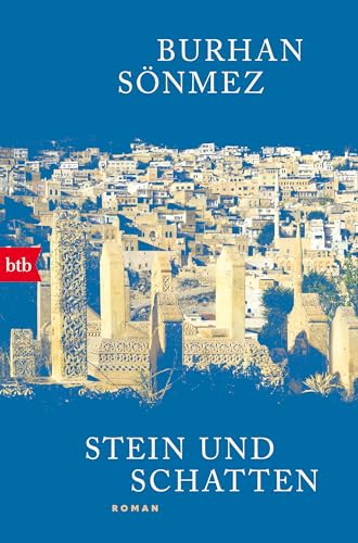 Stein und Schatten: Roman