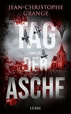 Tag der Asche: Thriller