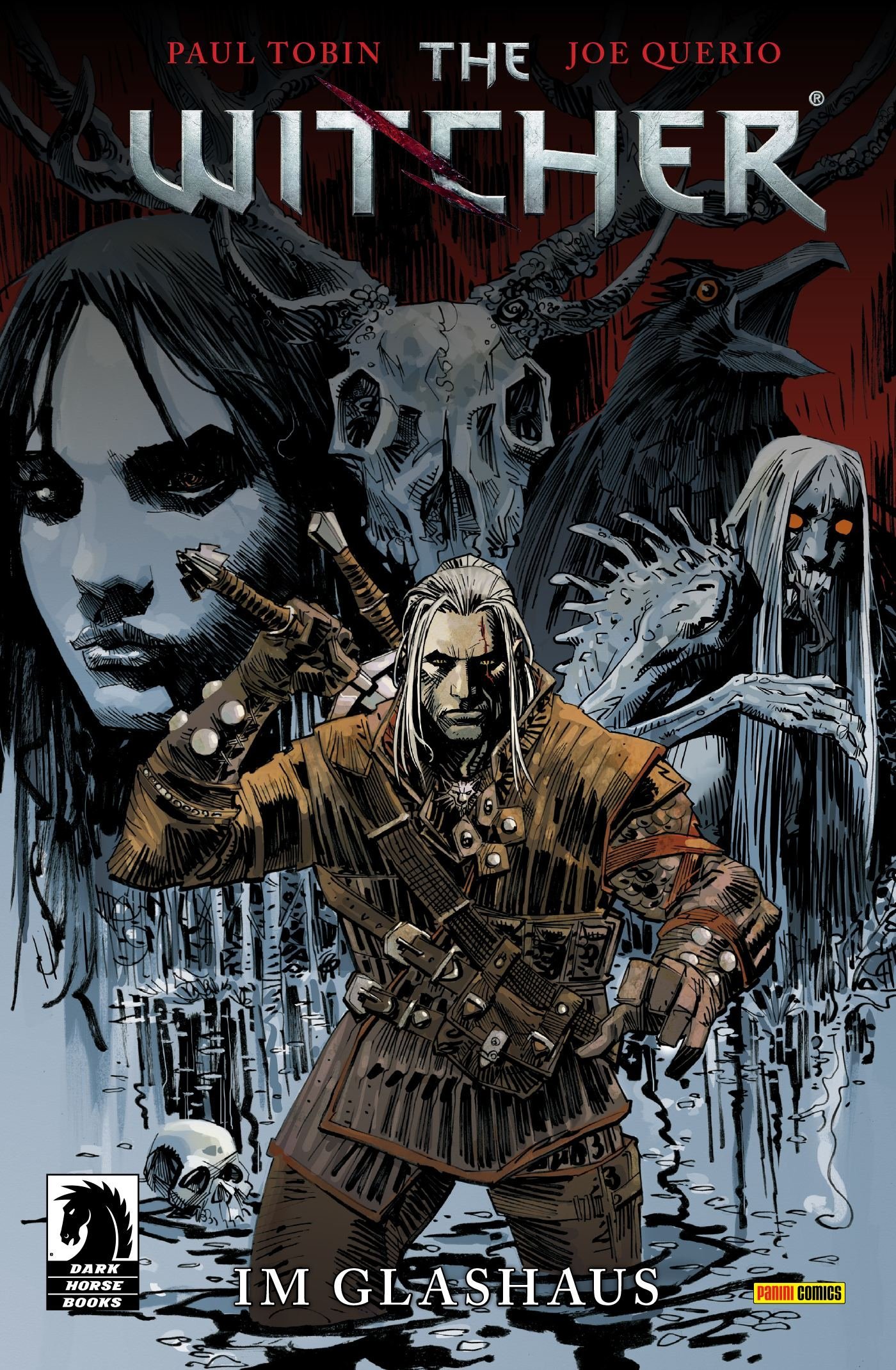 The Witcher, Bd. 1: Im Glashaus