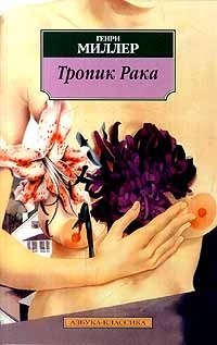 Тропик рака
