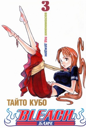 Bleach, Книга 3: Воспоминания под дождем
