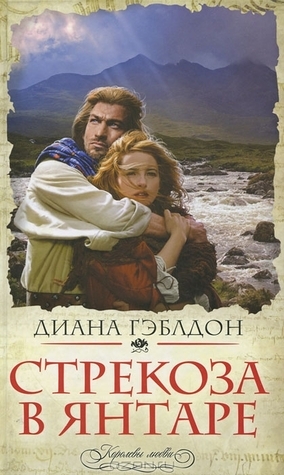 Стрекоза в янтаре