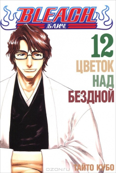 Bleach. Kniga 12. Tsvetok nad bezdnoy