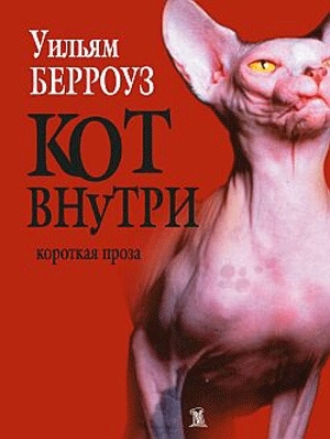 Кот внутри