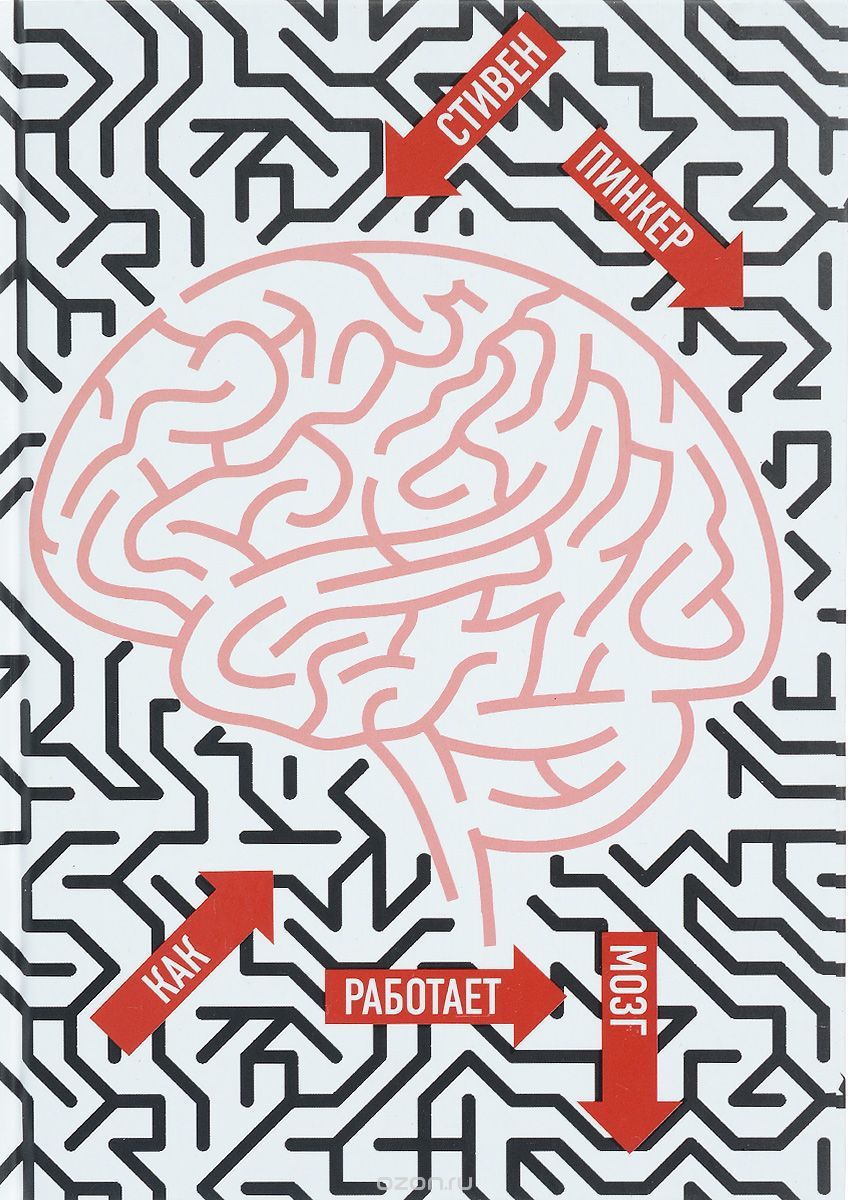 Как работает мозг