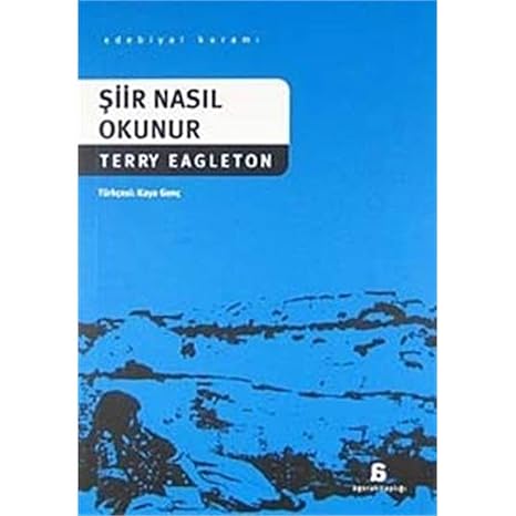 Şiir Nasıl Okunur