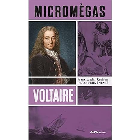 Micromegas