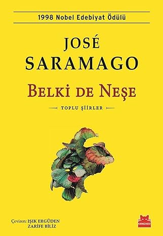 Belki De Neşe: Toplu Şiirler