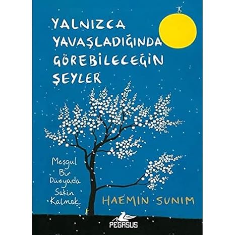 Yalnızca Yavaşladığında Görebileceğin Şeyler: Meşgul Bir Dünyada Sakin Kalmak