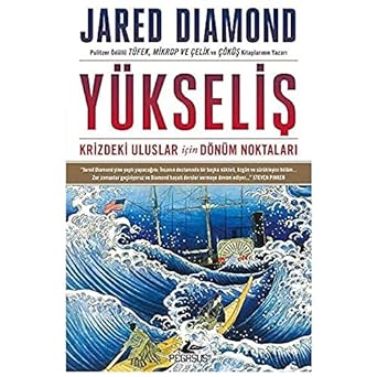 Yükseliş - Krizdeki Uluslar İçin Dönüm Noktaları