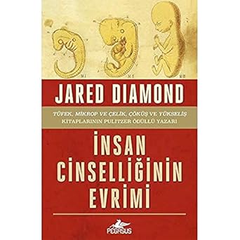 İnsan Cinselliğinin Evrimi: 1