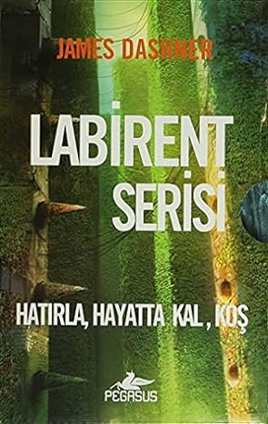Labirent Serisi Seti