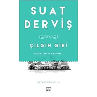 Çılgın Gibi