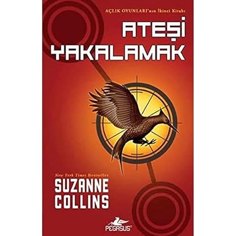 Ateşi yakalamak