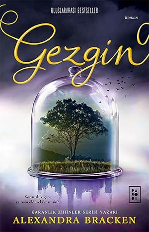 Yolcu Serisi 2. Kitap Gezgin