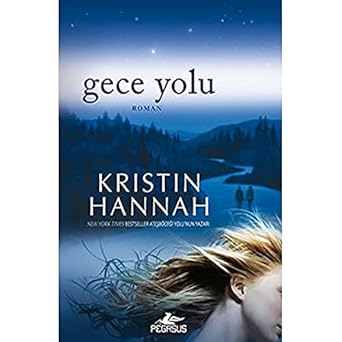 Gece yolu