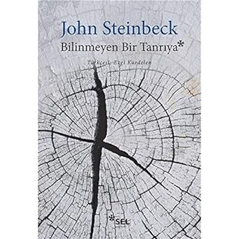 Bilinmeyen Bir Tanrıya