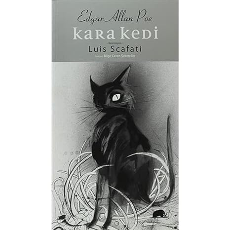 Kara Kedi