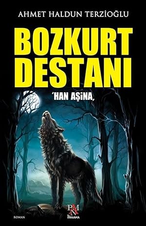 Bozkurt Destanı: Han Aşina