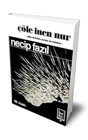 Çöle İnen Nur