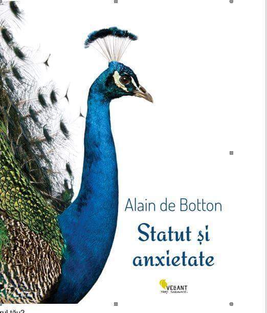 Statut si anxietate